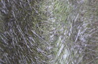 Gunstone fibreglass roof work